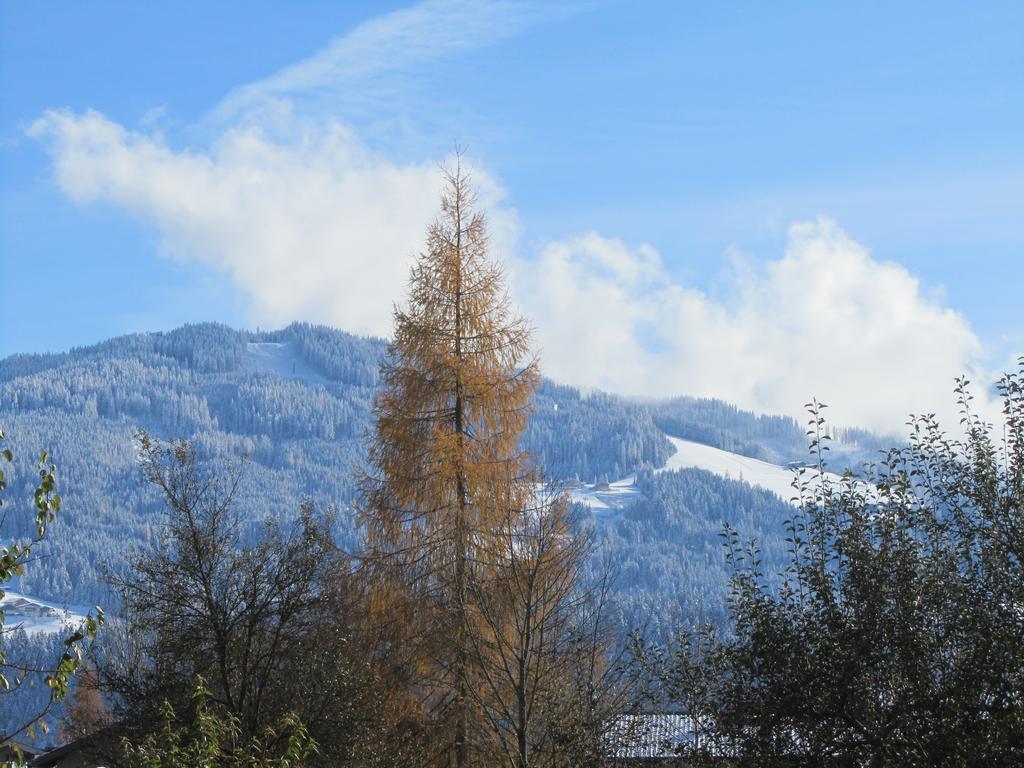 Ferienwohnung Familie Wieser Altenmarkt im Pongau Bagian luar foto
